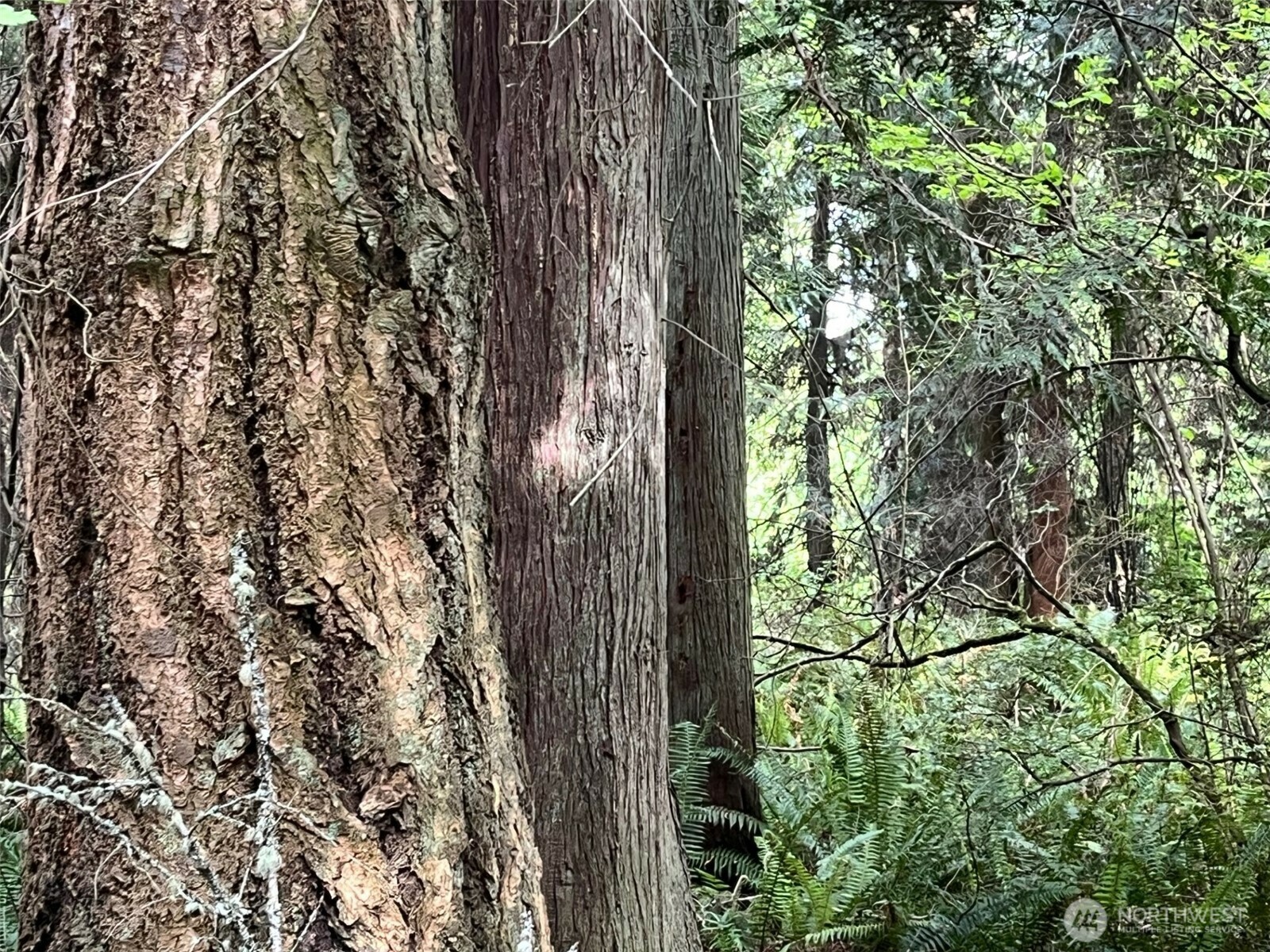 Property Photo: 32428 Hoffman Road WA 98346