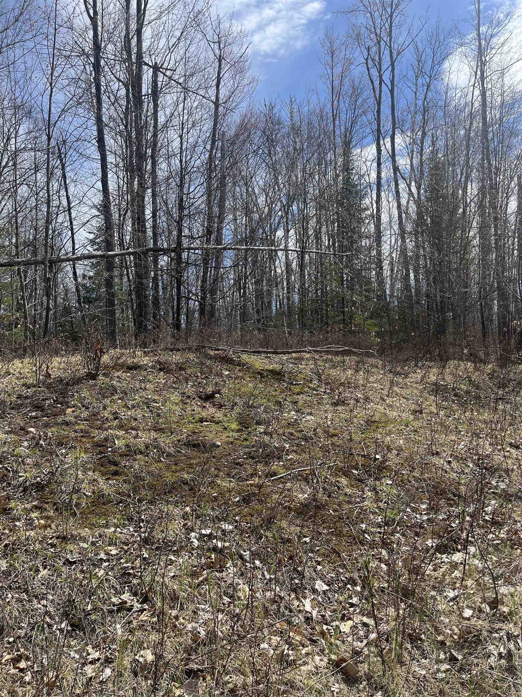 Property Photo: Nature Trail Road WI 54175