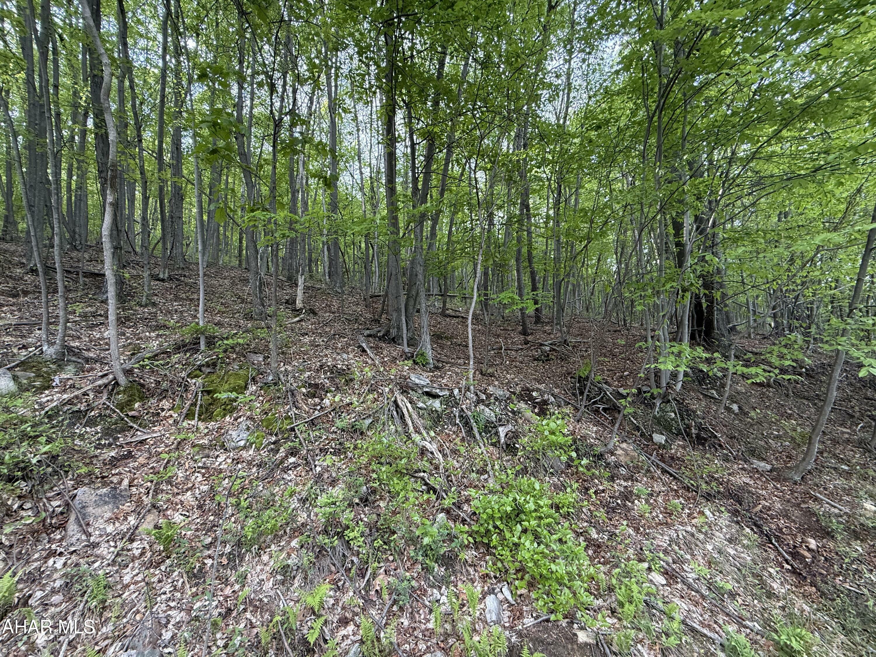 Property Photo: 0 Cherry Run Road PA 15522