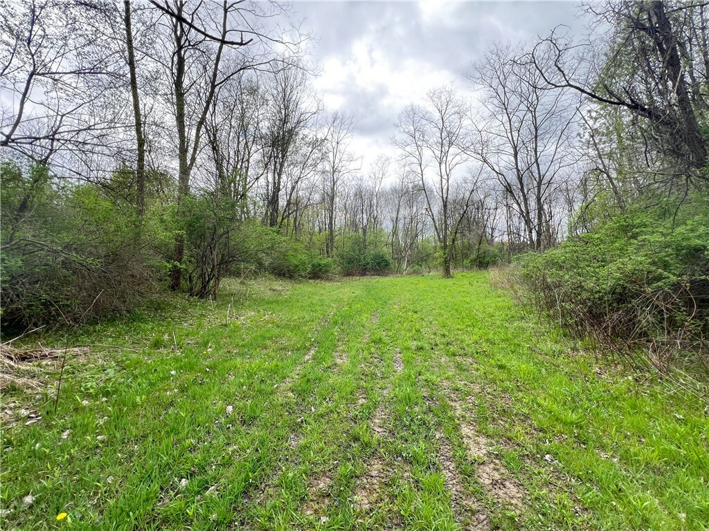 Property Photo: 0 Brown Road NY 14883