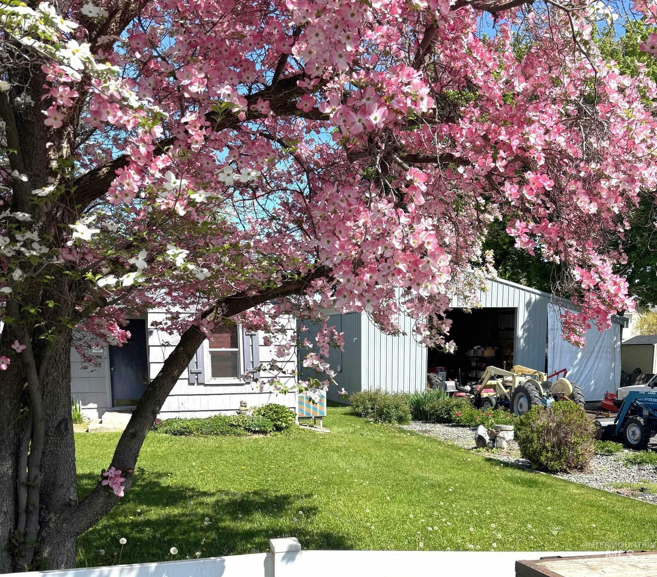 Property Photo: 913 Airway Avenue ID 83501
