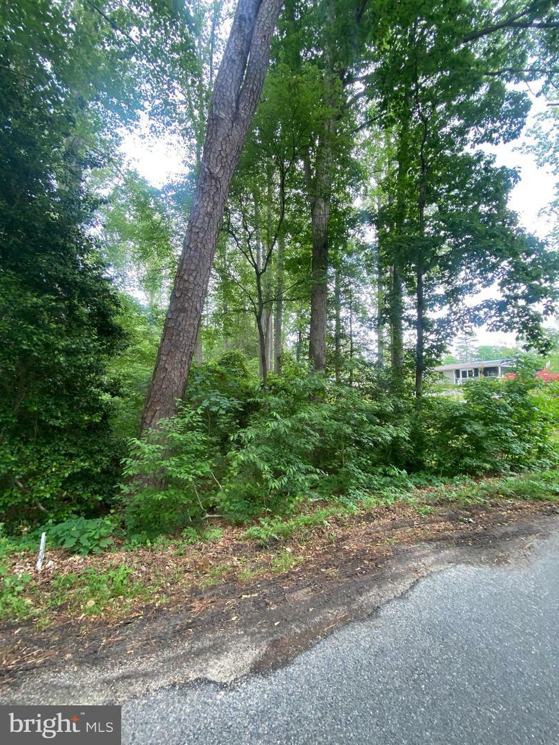 Property Photo: Dry Bridge Rd VA 22546