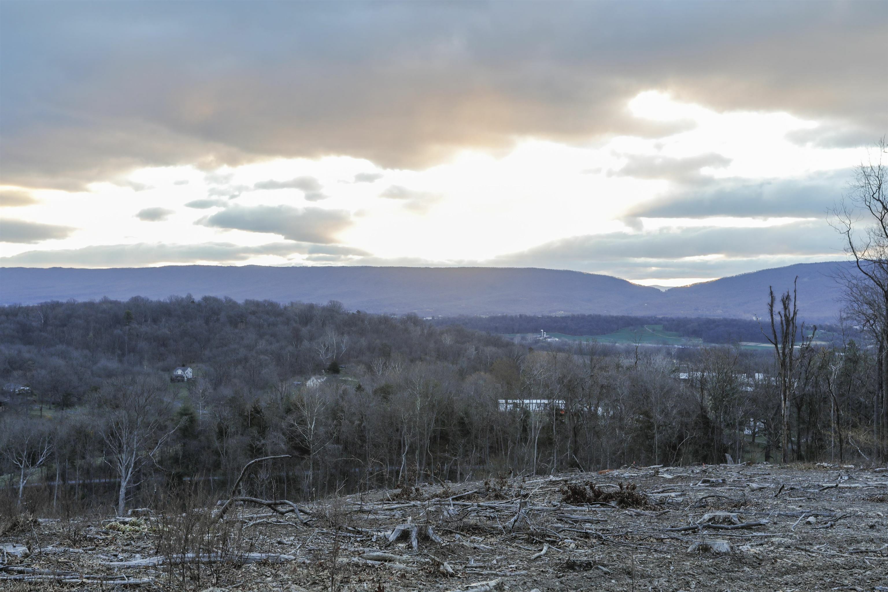 Property Photo: Tbd New Market Depot Rd VA 22844