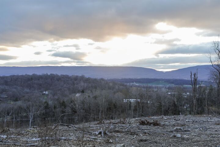Property Photo: Tbd New Market Depot Rd VA 22844