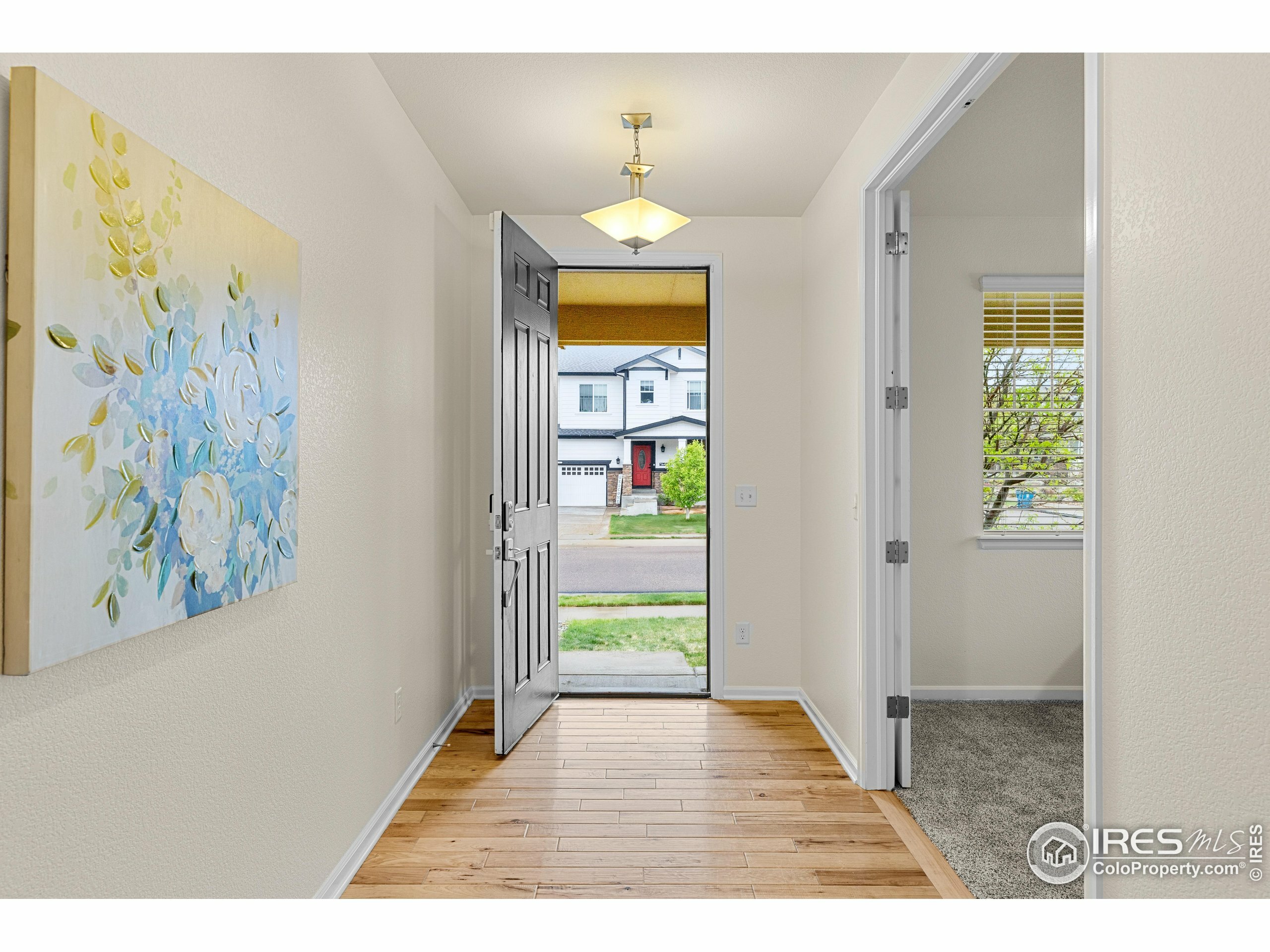 Property Photo: 687 Jarvis Dr CO 80516