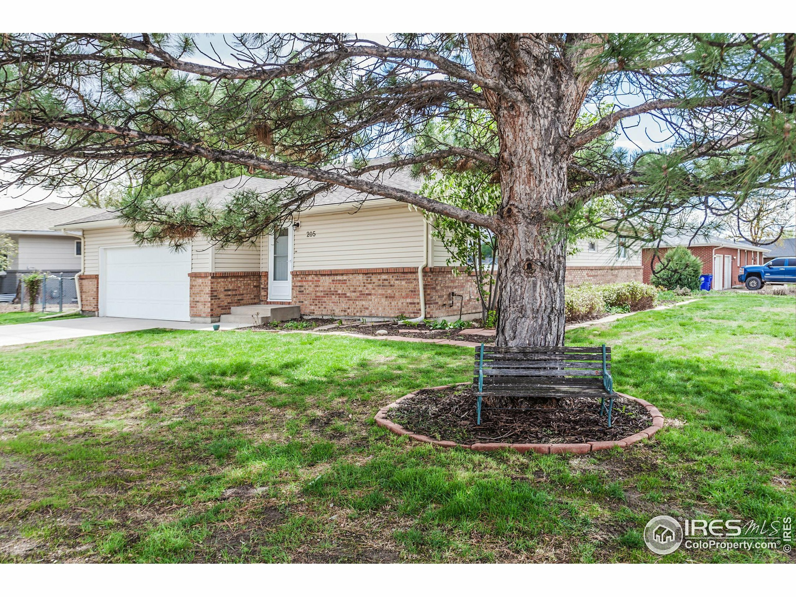 205 Maple Ct  Windsor CO 80550 photo
