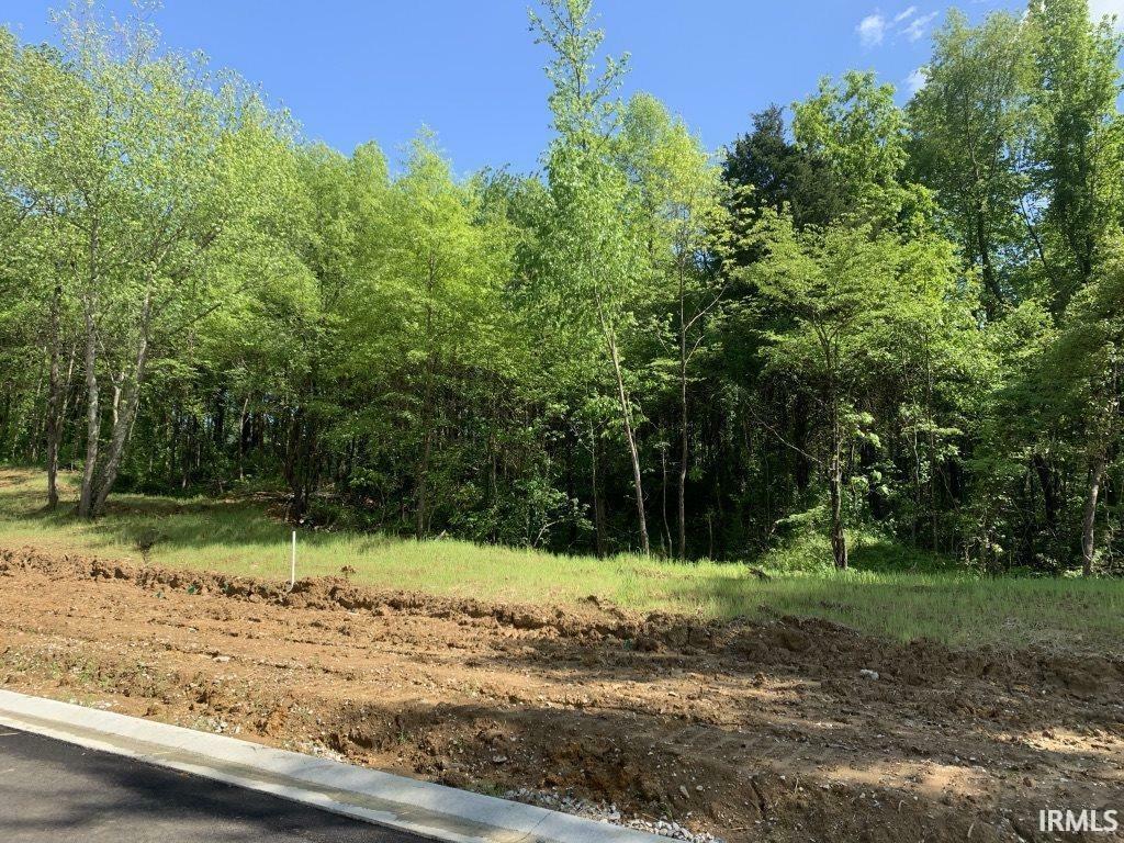 Property Photo: Lot 66 Drive IN 47725