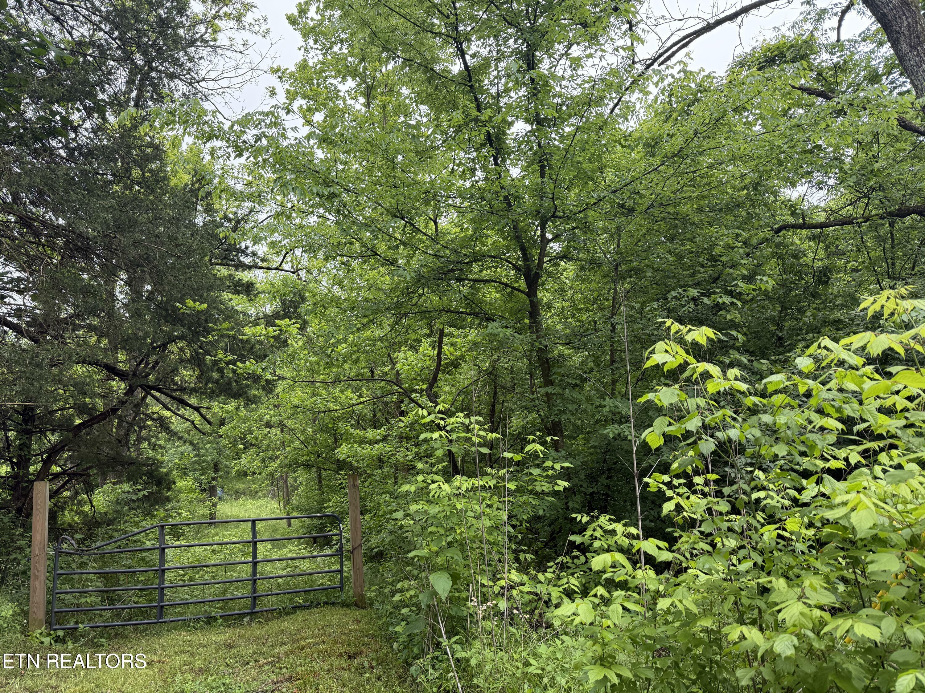 Property Photo: 1205 Everett Rd TN 37932