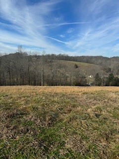 Property Photo: 13 Oakmere Lane TN 37083