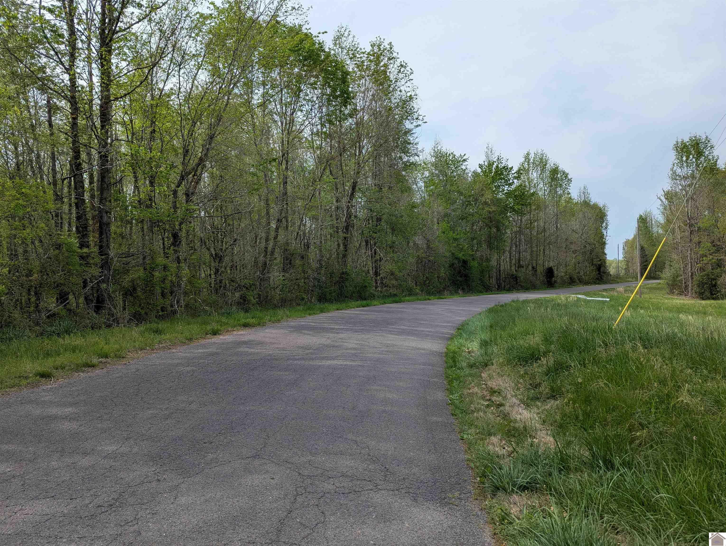 Property Photo: 00 Wice Church Rd KY 42027