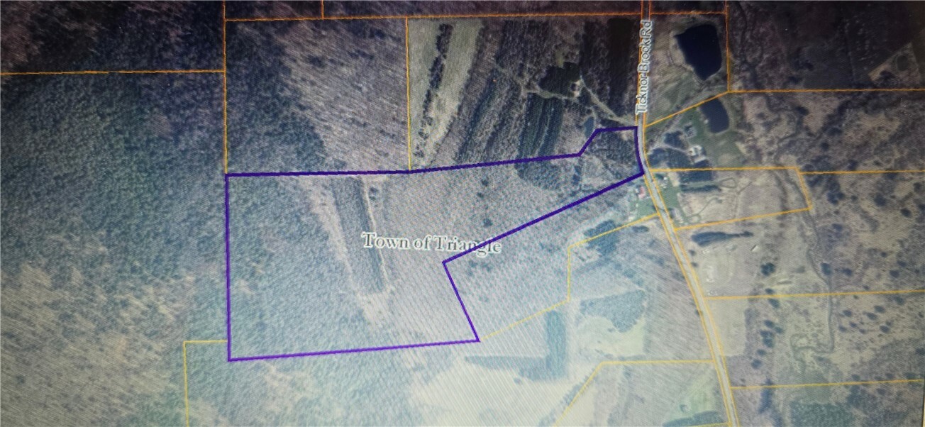 277 Ticknor Brook Road  Whitney Point NY 13862 photo