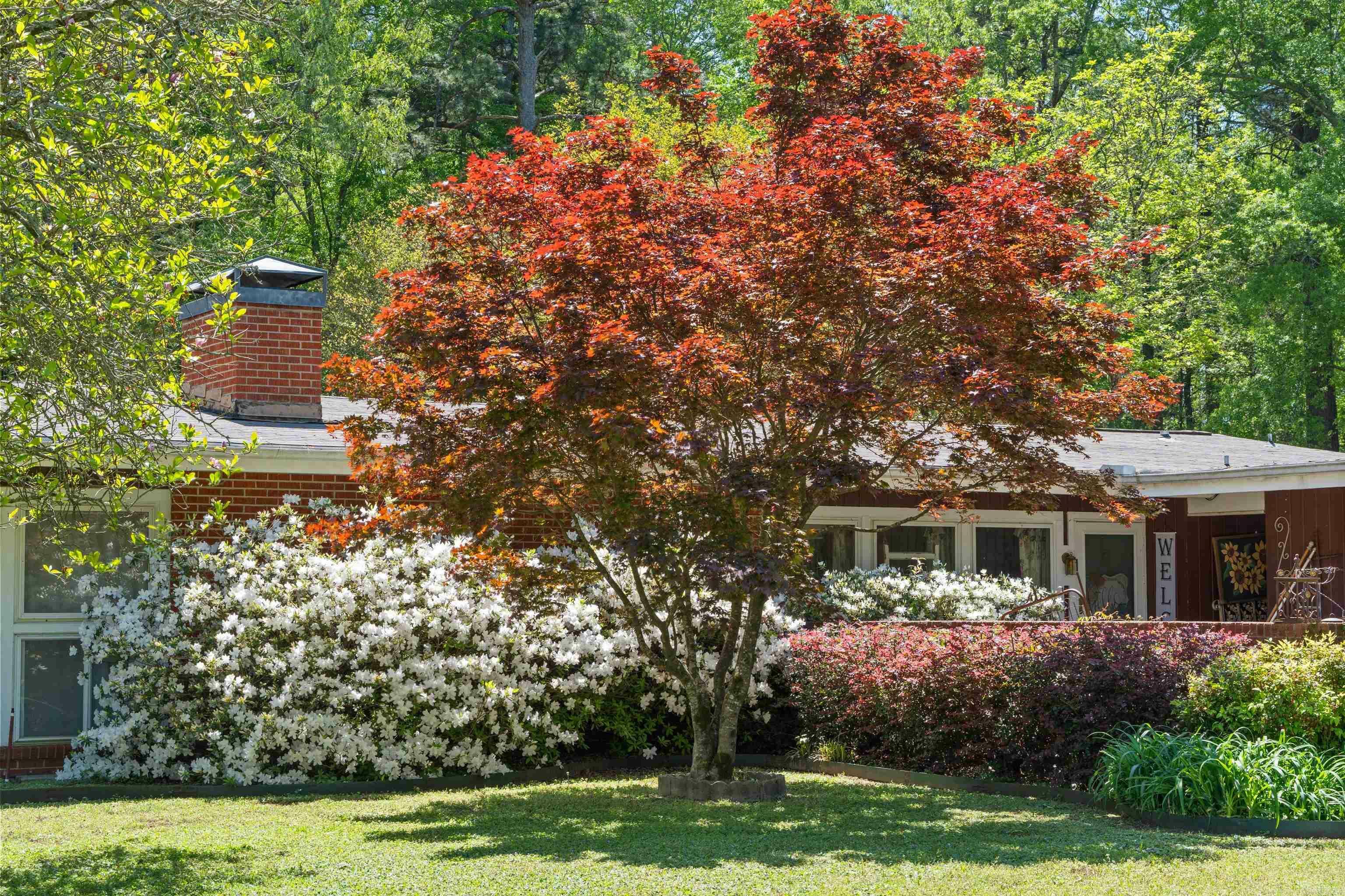 Property Photo: 107 W Sunset AR 72150