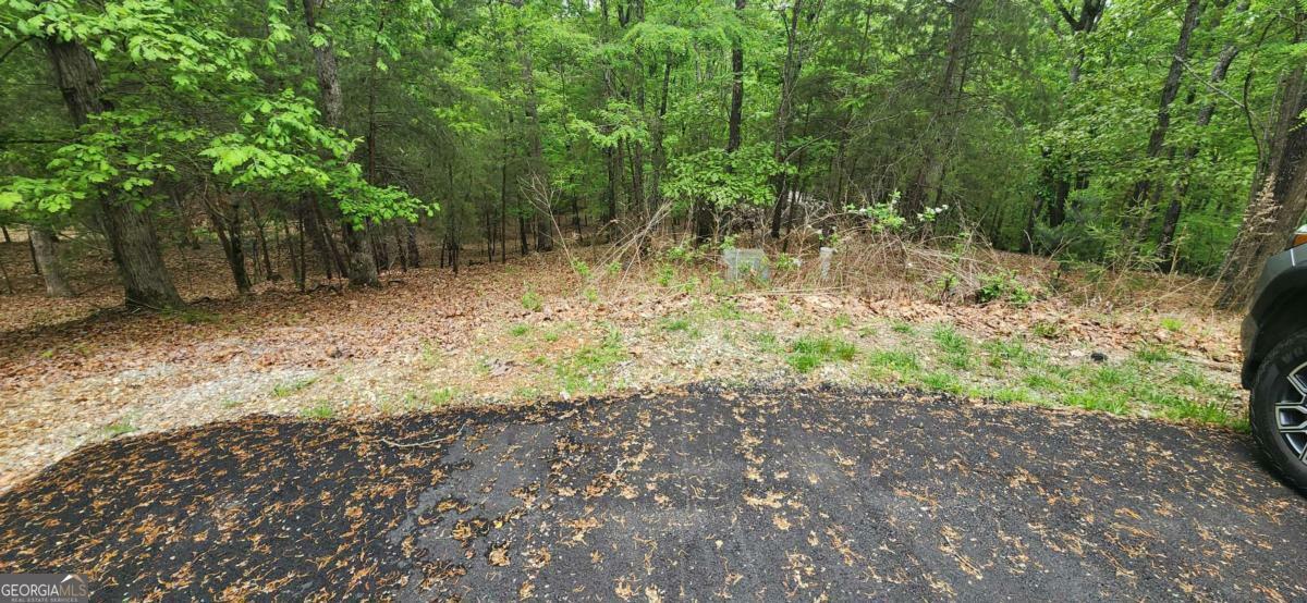 Property Photo: Lt 12 Saw Briar Lane GA 30512