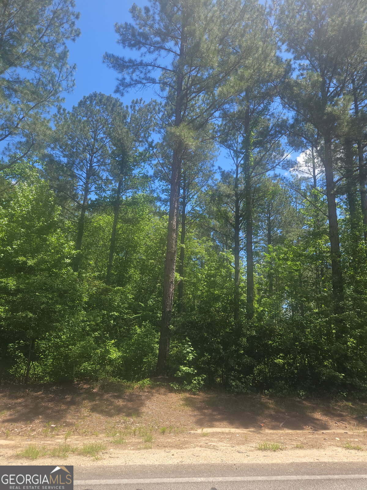 Property Photo: Lot #6 Highway 123 GA 30820