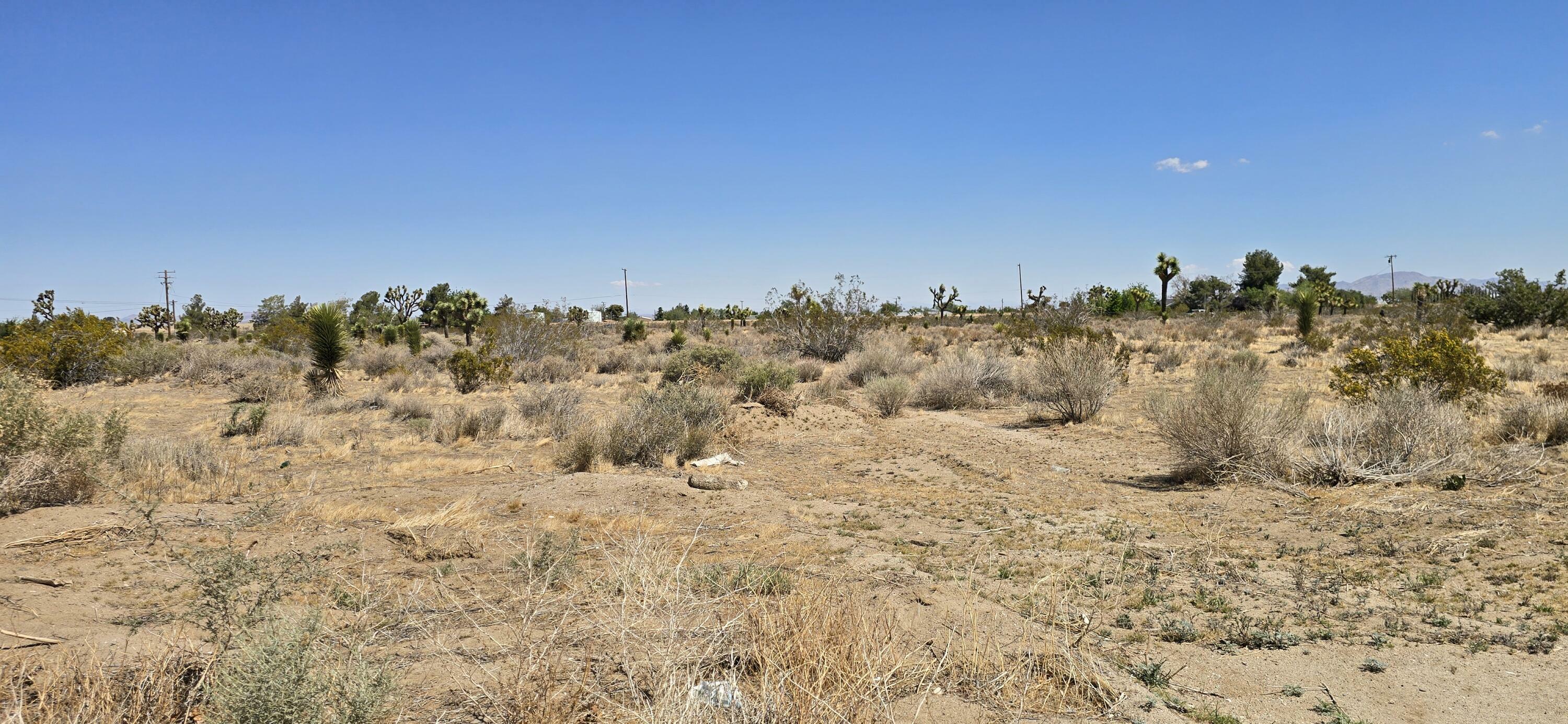 Property Photo: Aprox Solano Rd And Mono Rd CA 92371