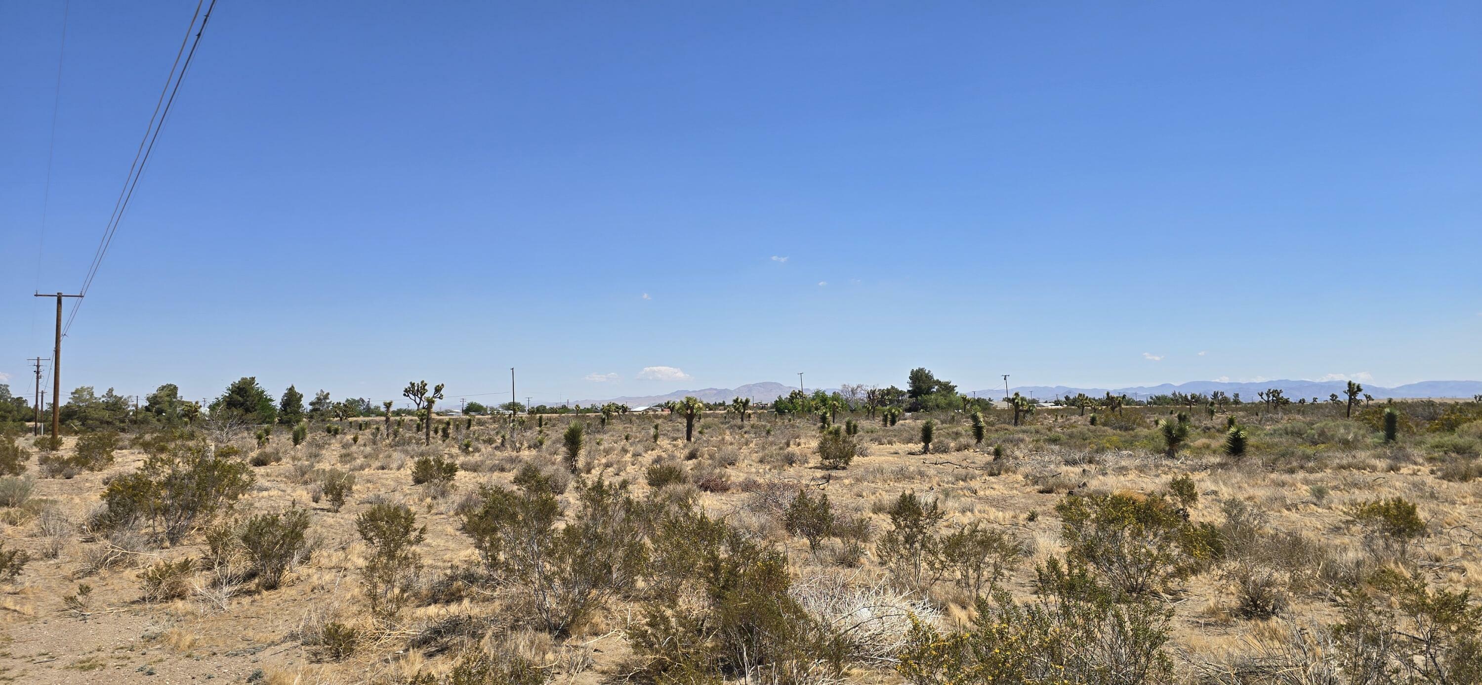 Property Photo: Aprox Solano Rd And Aster Rd CA 92371