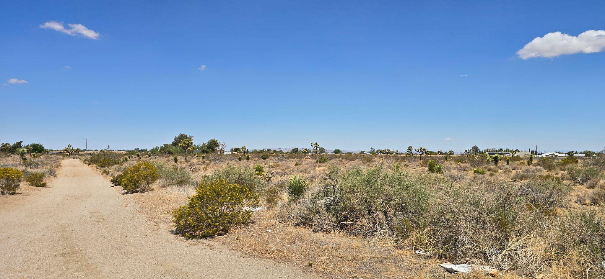 Property Photo: Aprox Mono Rd And Daisy Rd CA 92371