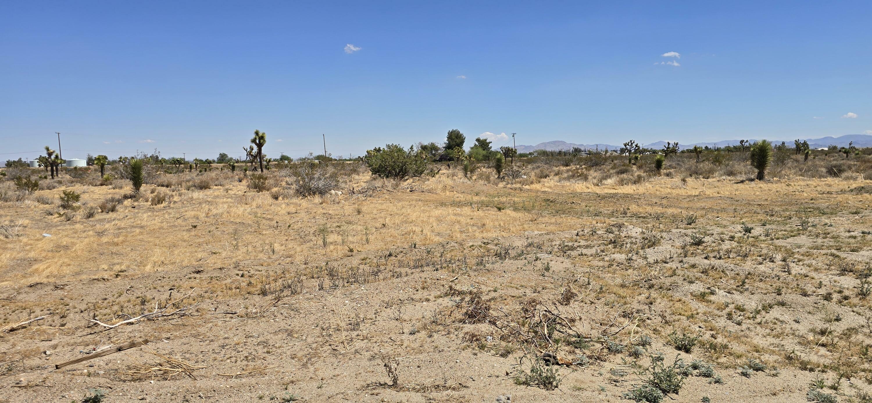 Property Photo: Aprox Solano Rd And Mono Rd CA 92371