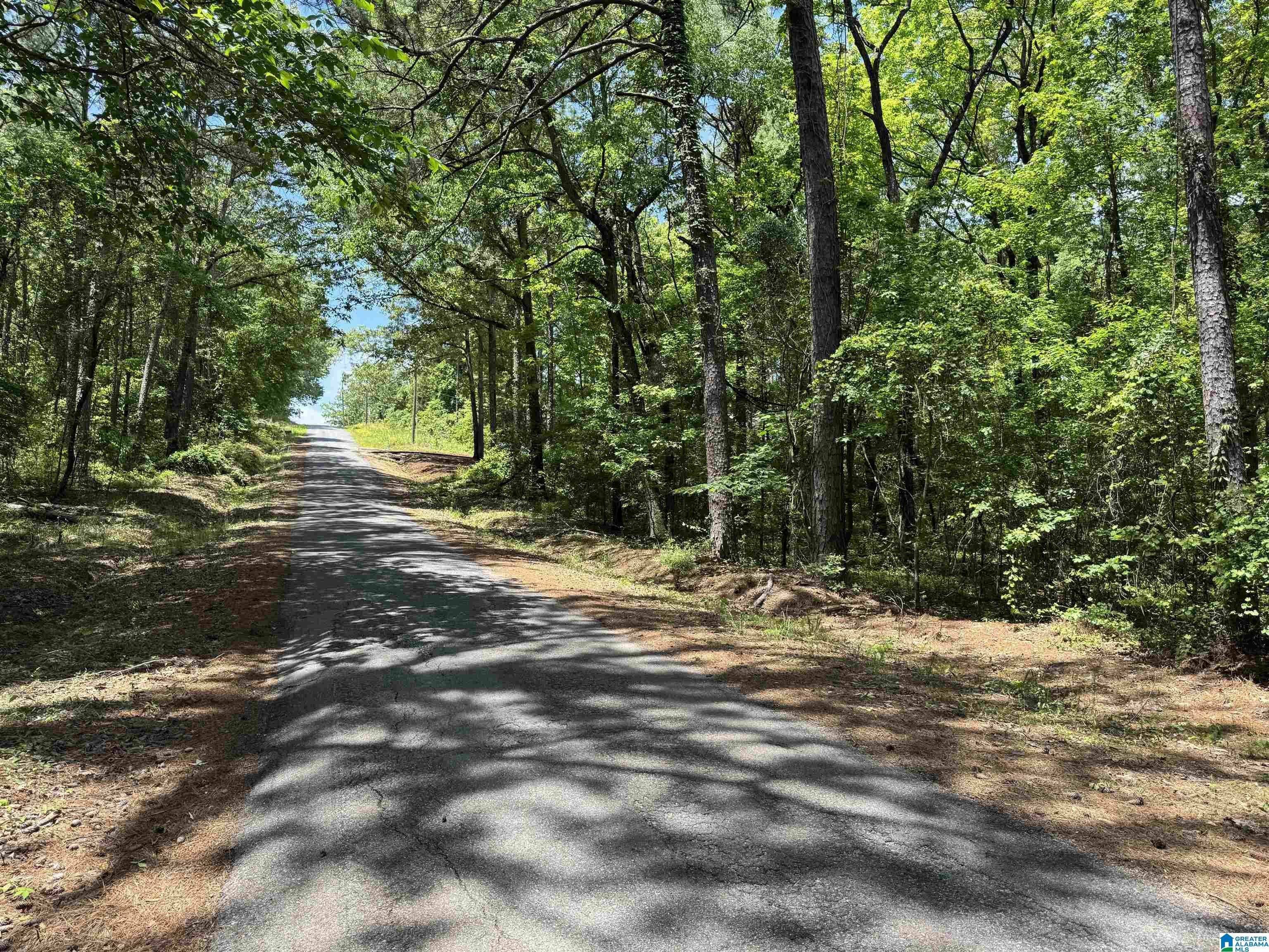 Property Photo: 000 Ridgeway Circle 117, 118, 119 AL 35160
