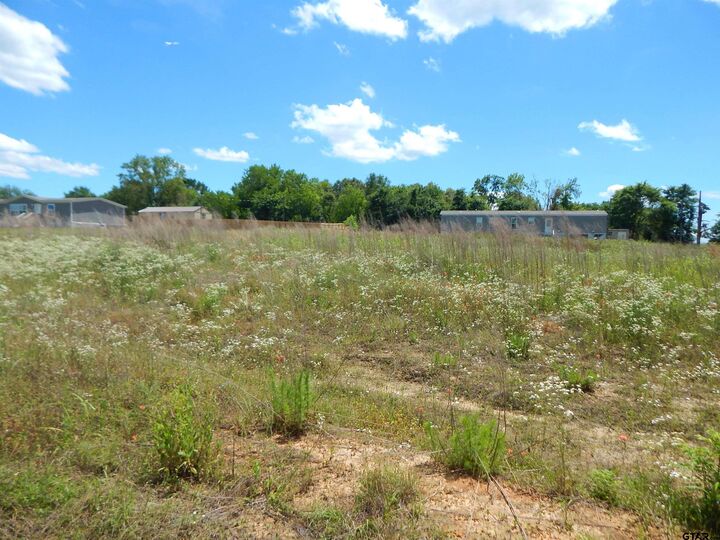Property Photo:  Tbd Lot 7 Zela Rd  TX 75644 