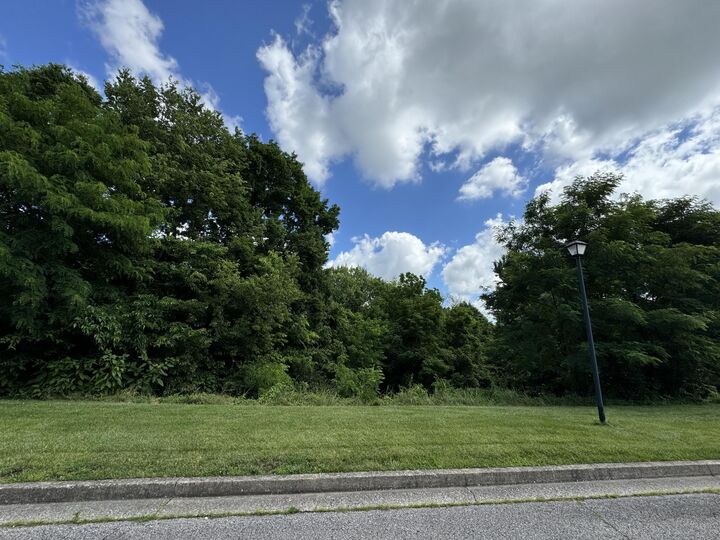 Property Photo: 101 Lot 17, Tract A - Colonial Way KY 40422