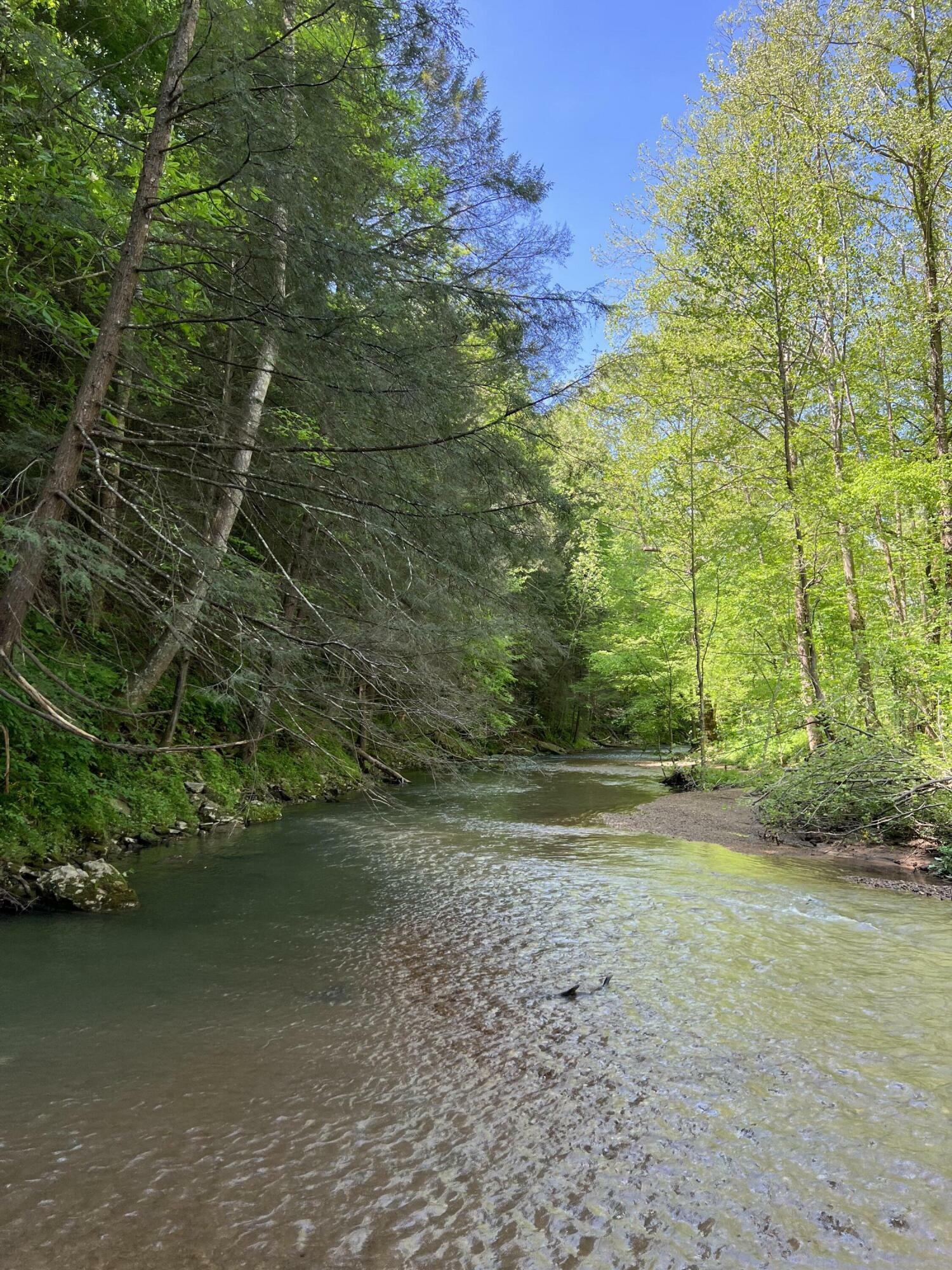 Property Photo: 0 Tark Hill Rd KY 40447