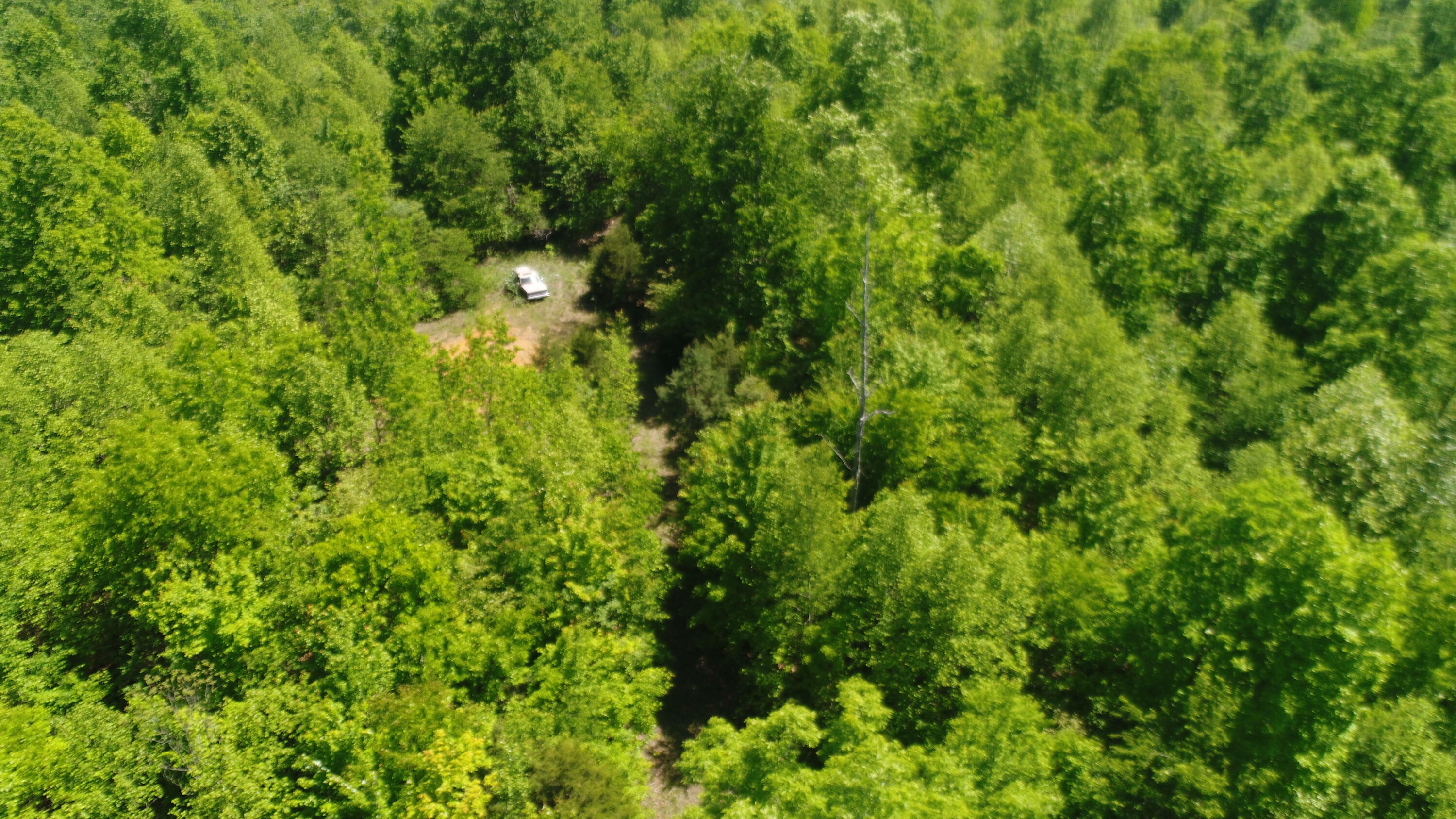 Property Photo: 1409 Denton Phelps Road KY 42501