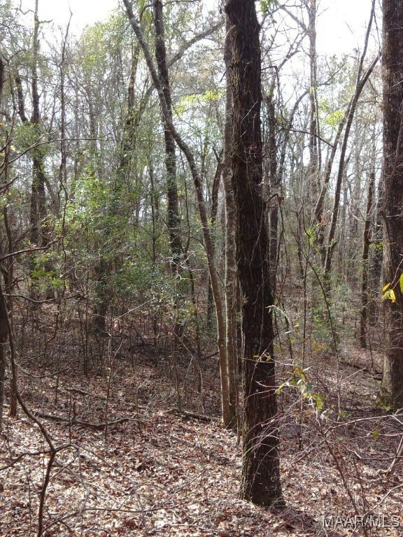 Property Photo: 1373 County Road 39 Road AL 36022