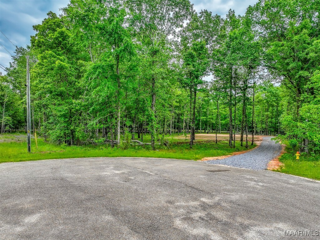 Property Photo: 181 Hickory Hollow Cove AL 36013