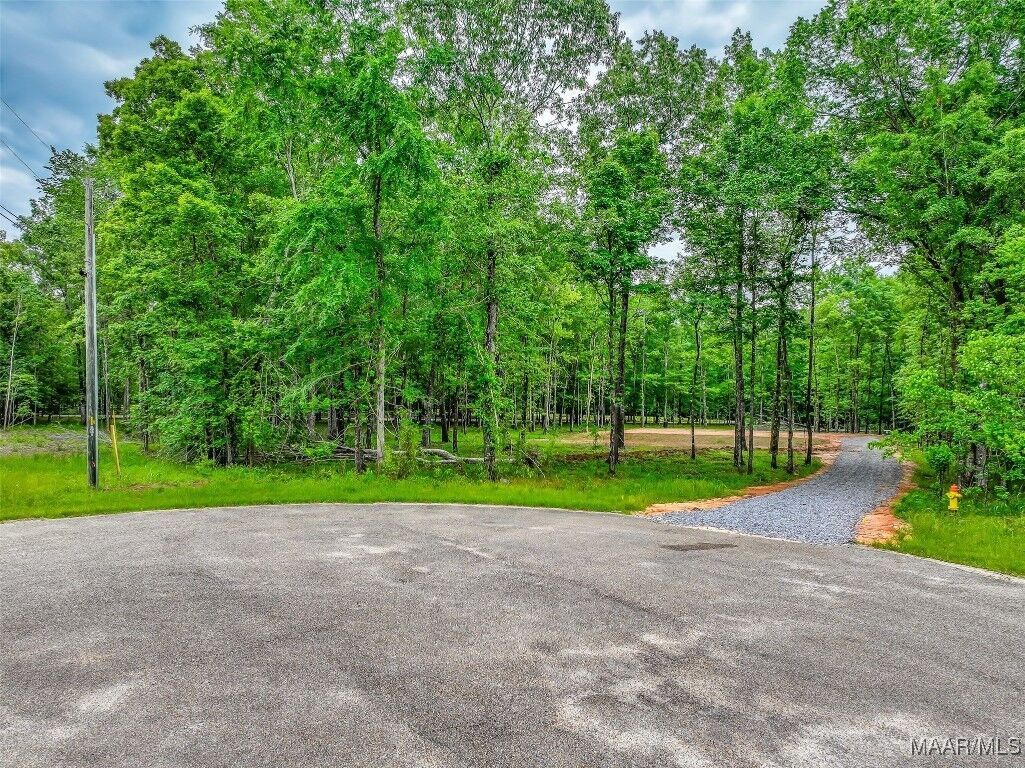 Property Photo:  181 Hickory Hollow Cove  AL 36013