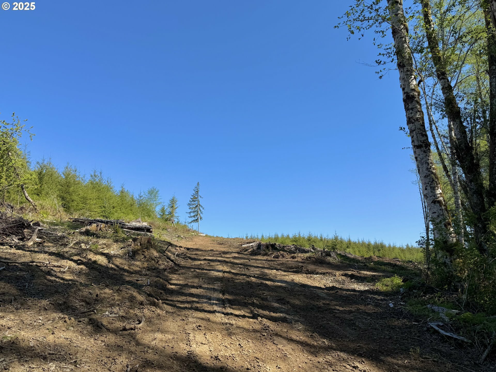 Property Photo: 72000 Clatskanie Heights Rd OR 97016