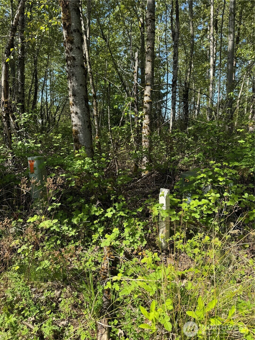 Property Photo:  101 Xx  221st Avenue E  WA 98391 
