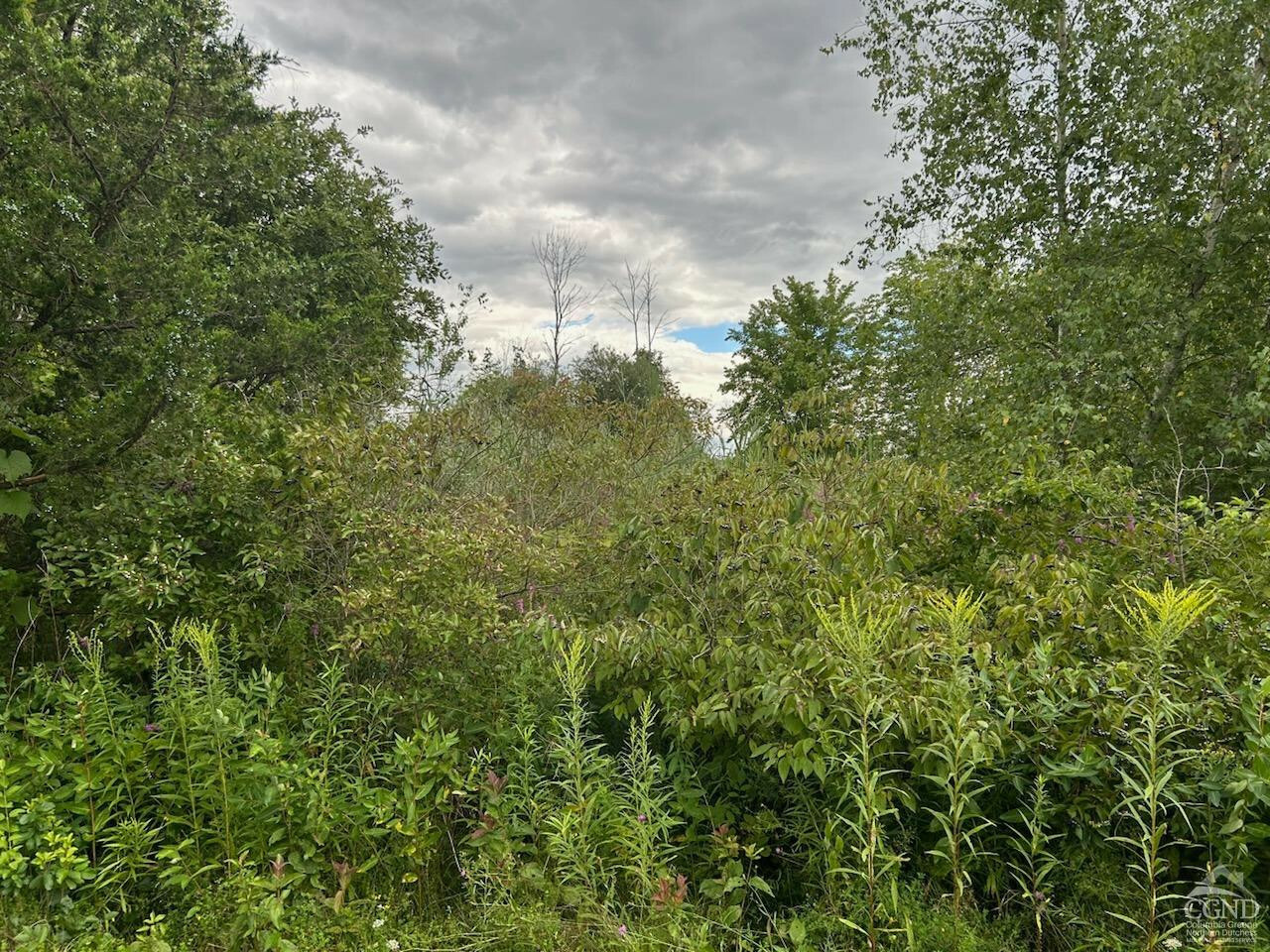 Property Photo: 58 Ichabod Crane NY 12015