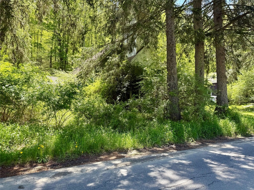 Property Photo: 700 E Windsor Rd NY 13865
