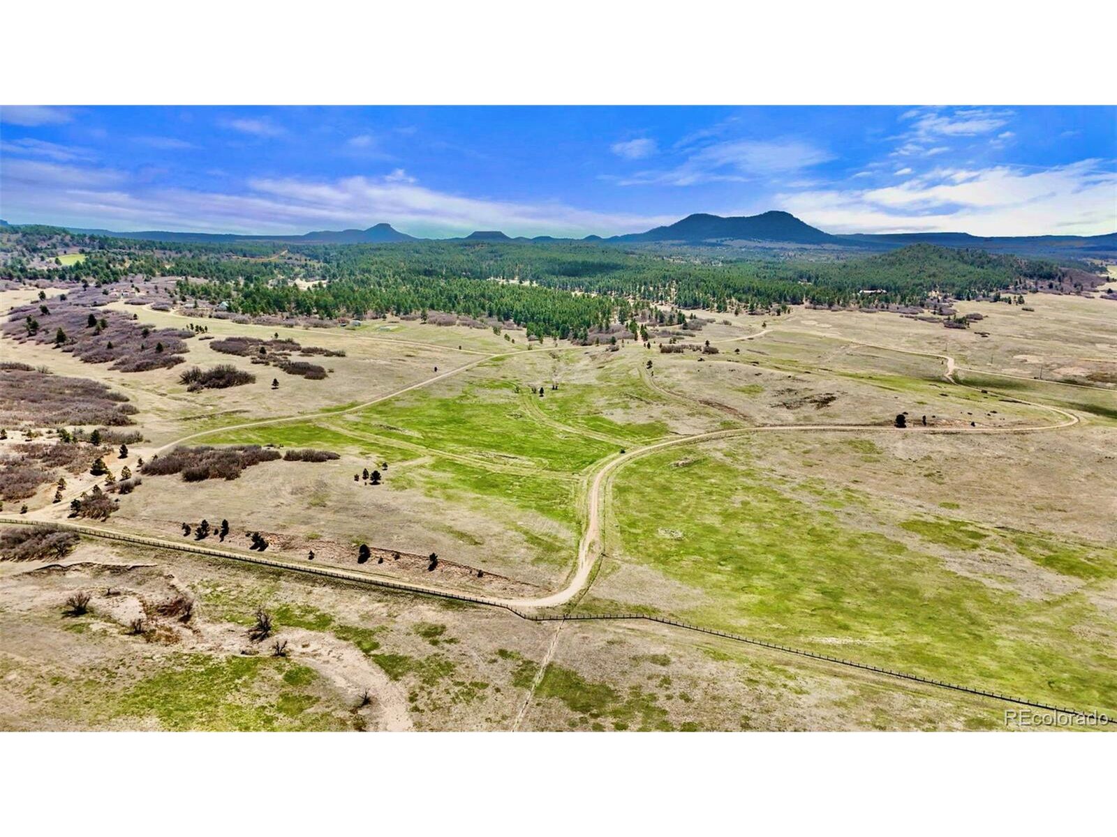 Property Photo:  3 S Perry Park Rd  CO 80118 