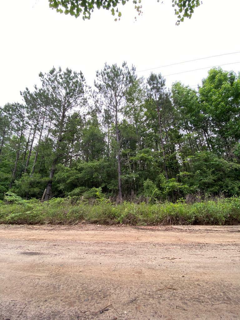 Property Photo:  L98486 Grimes Flournoy Road  TX 75949 