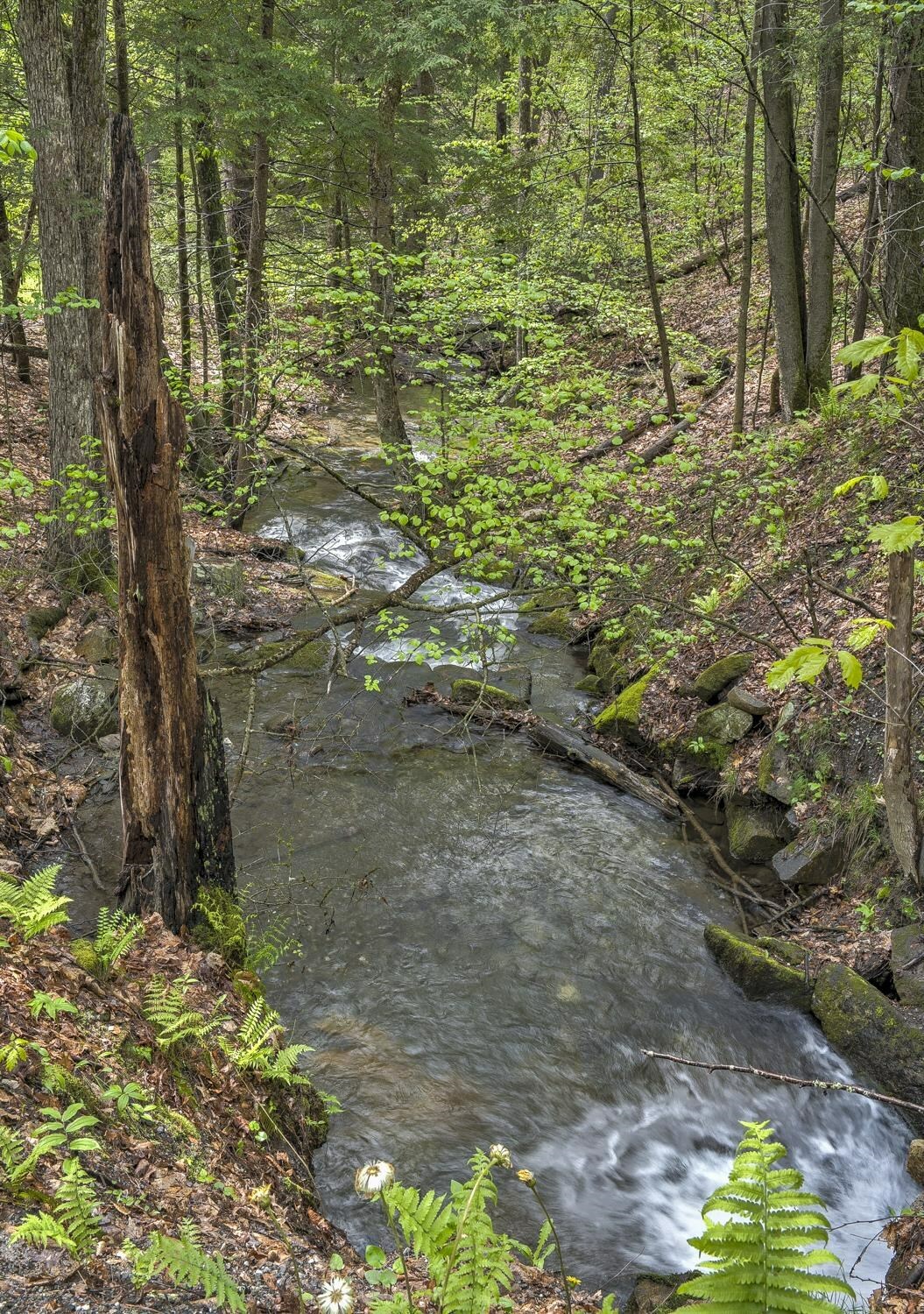 Property Photo:  164 Poocham Road  NH 03467 