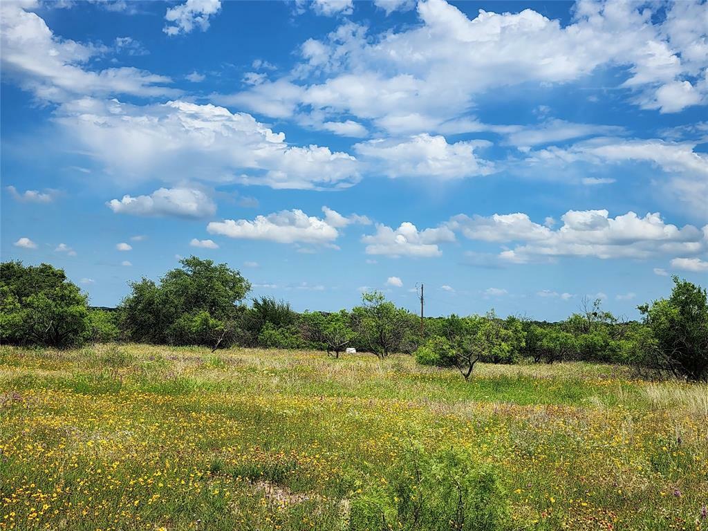 Property Photo: Tbd County Road 127 TX 76471