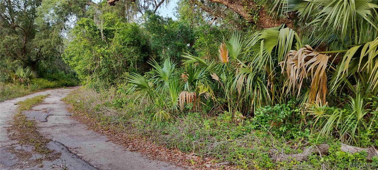 Property Photo: 63 N Sheltering Oaks Drive FL 34453