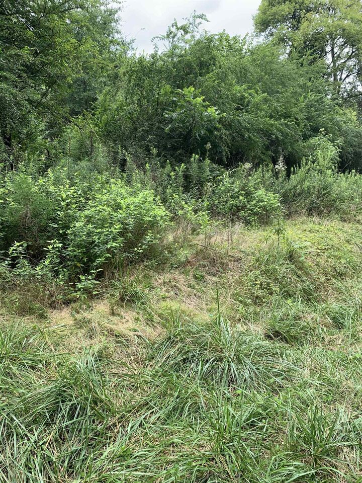 Property Photo:  0 NE Cottonwood Street  FL 32059 