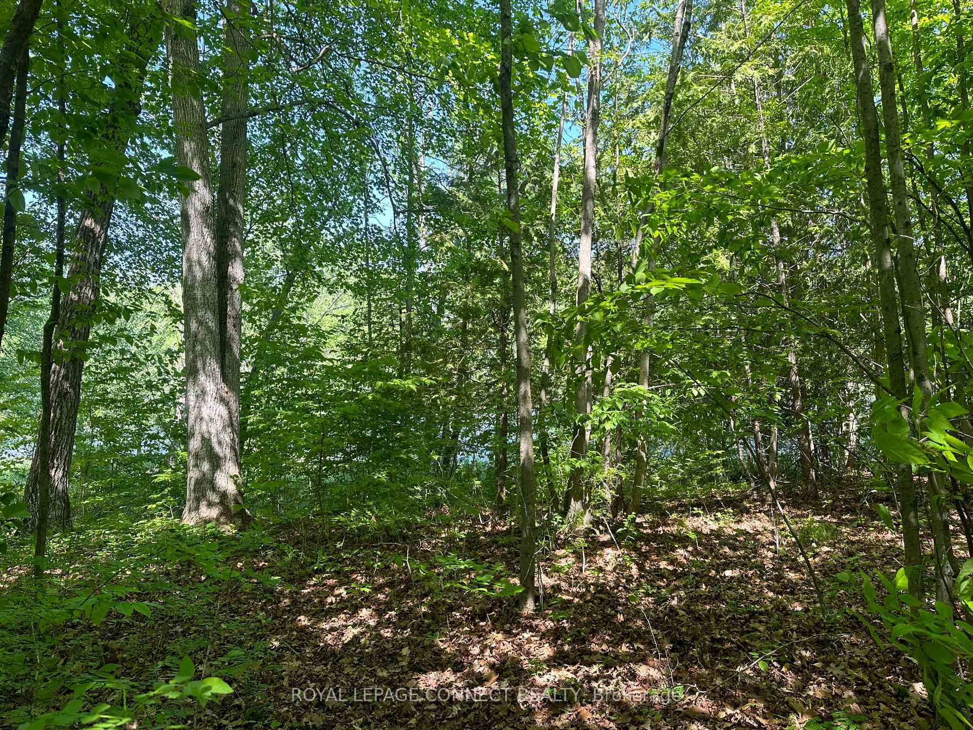 Property Photo:  20 Riverside Drive  ON K0L 1L0 