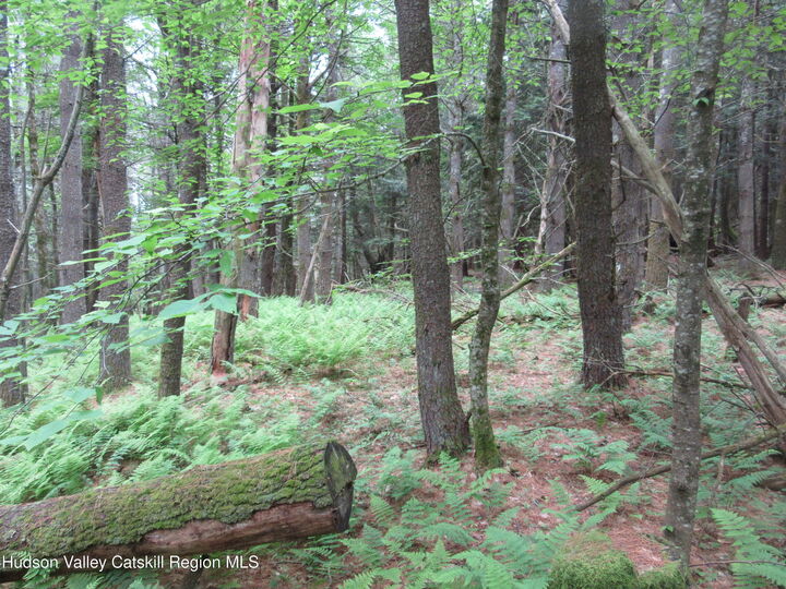 Property Photo: 0 Route 23C Lot#1 NY 12452