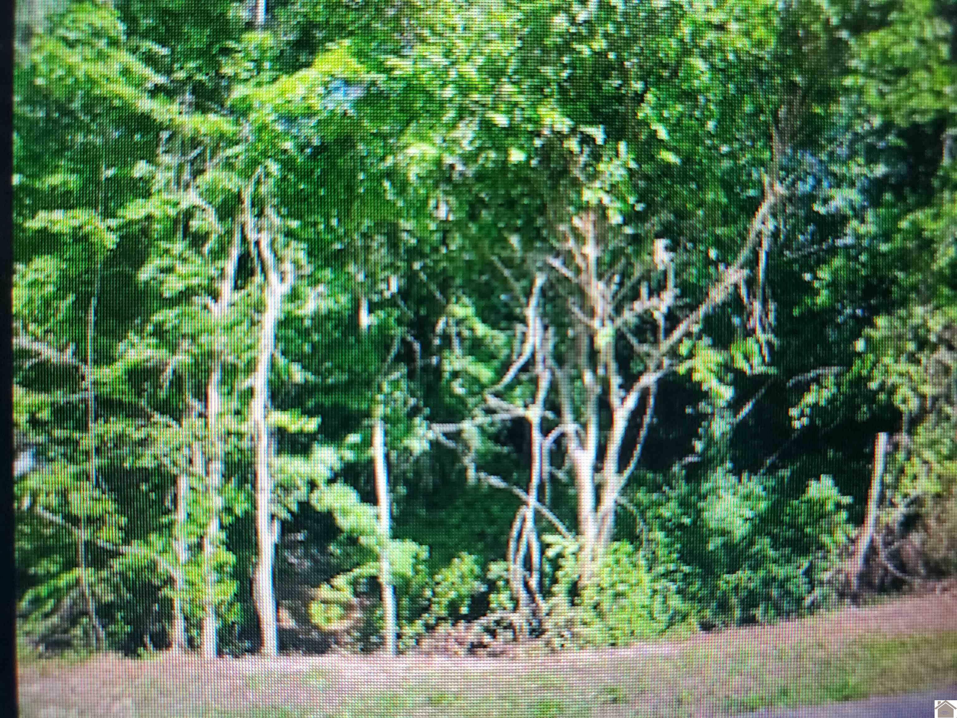 Property Photo: 195,205,215 Cascade 5920 Merrydale KY 42003