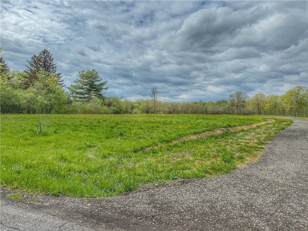 Property Photo: 3 (Lot # 3) East Shore Circle NY 14850