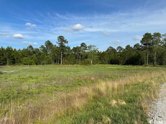 Property Photo: 114 Belland Ct. SC 29569