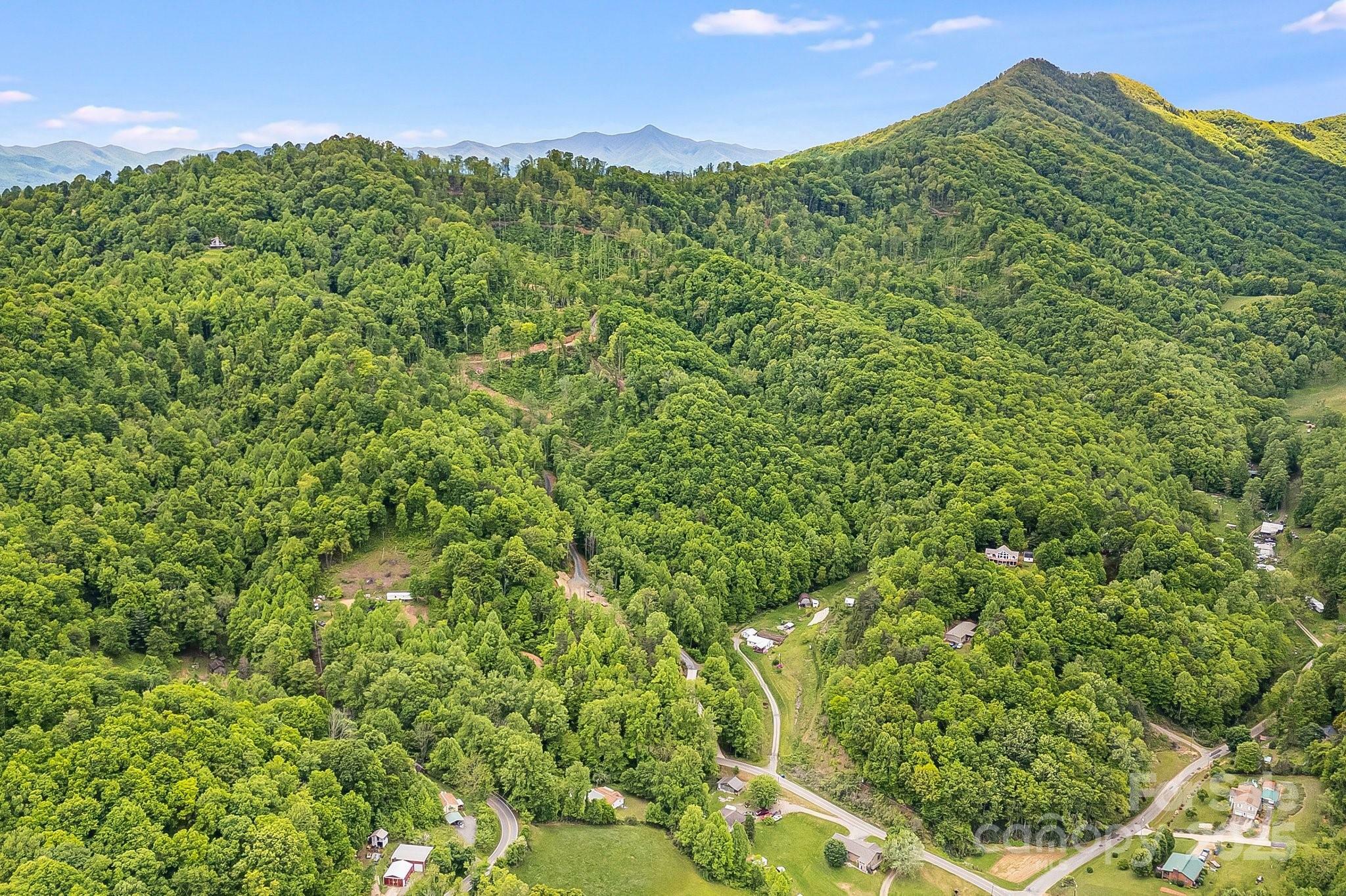 Property Photo: 99999 Hookers Gap Road NC 28748