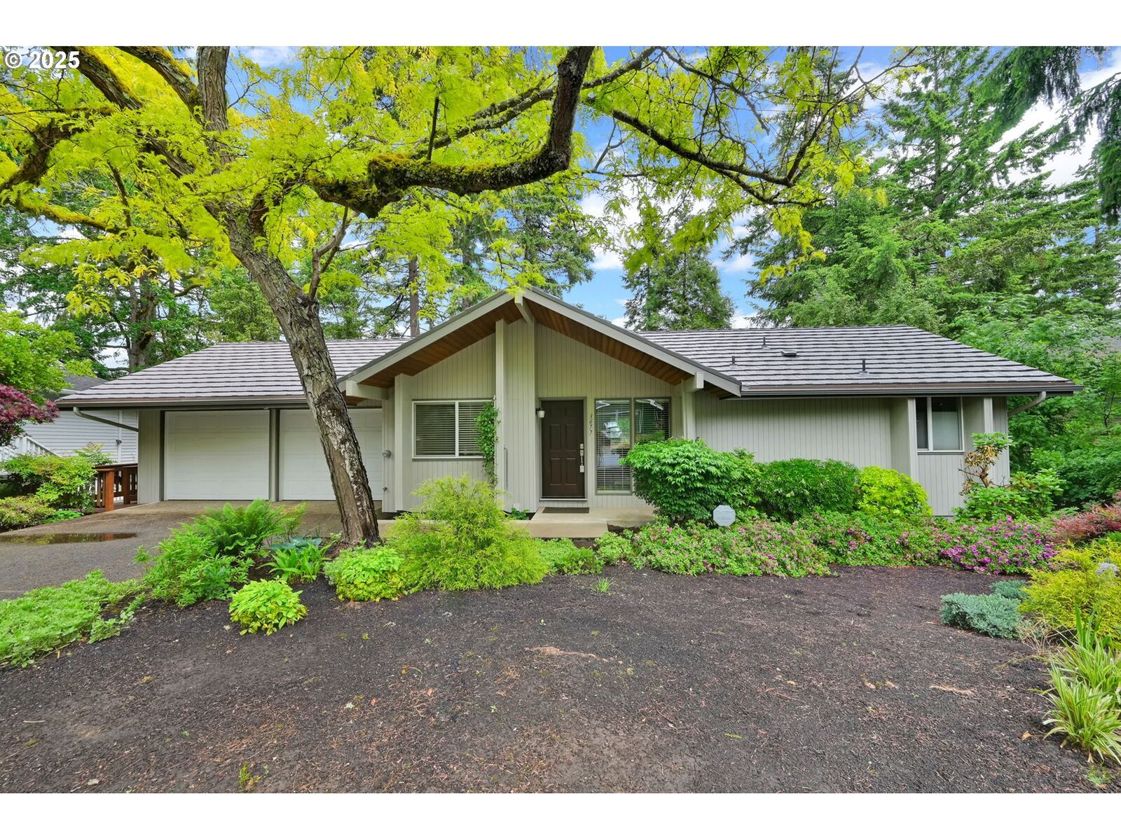 Property Photo:  3677 Wilshire Ln  OR 97405 