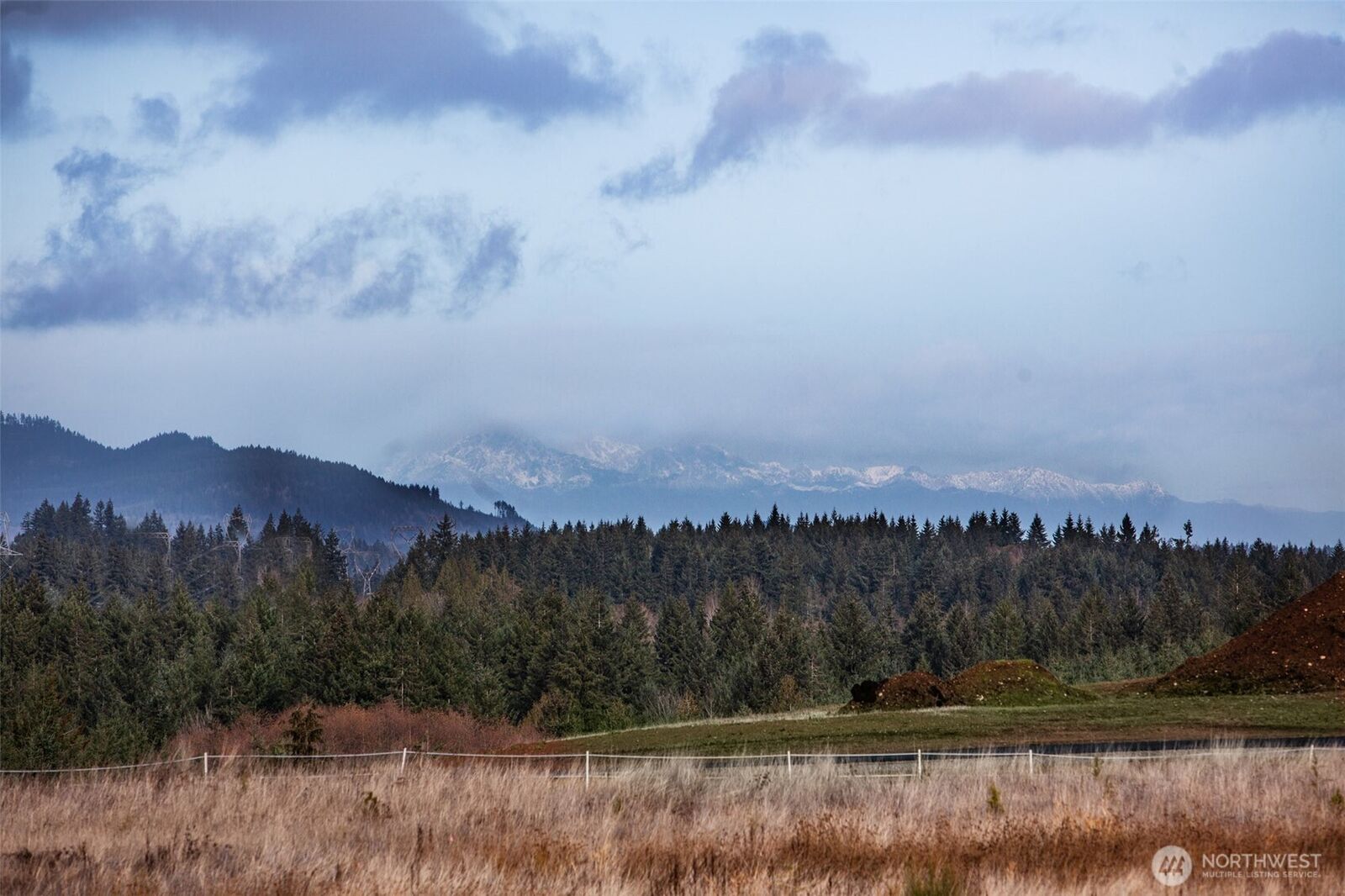 Property Photo:  13907  Quiet Waters Lane SW  WA 98579 