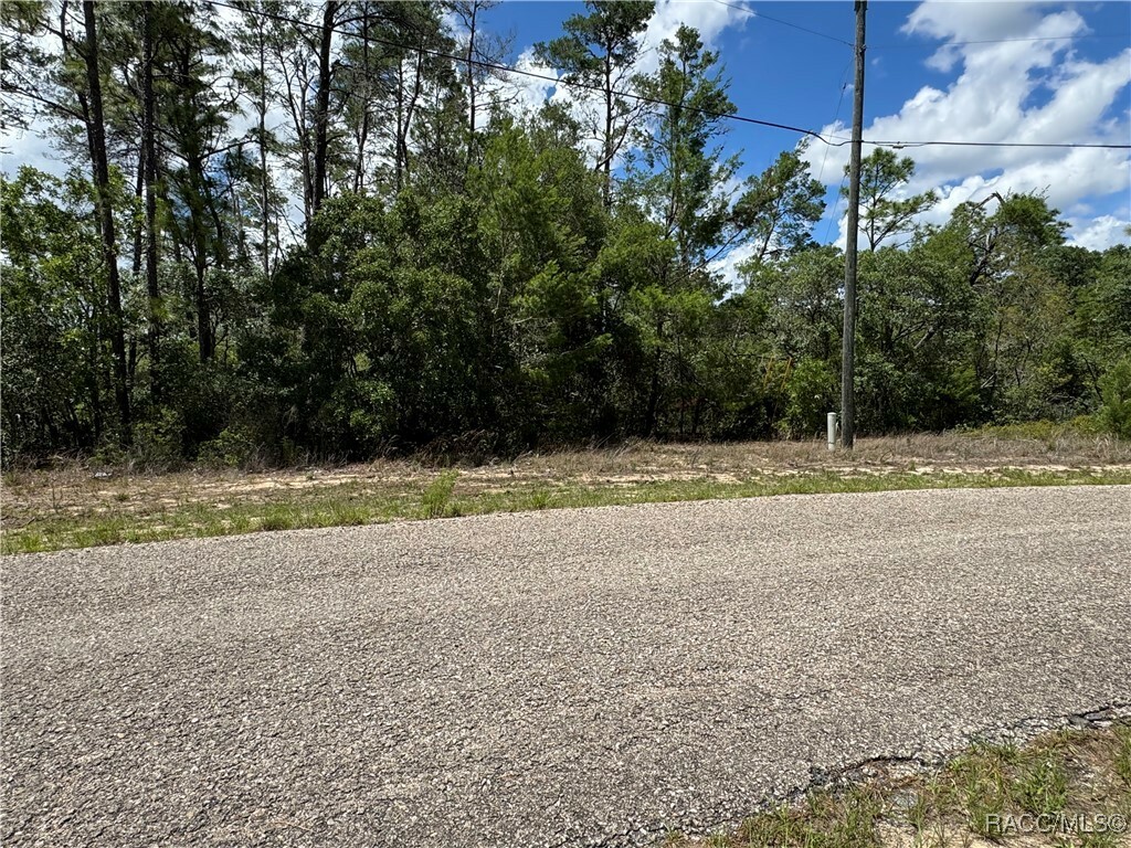 Property Photo: 8959 N Farrington Drive FL 34433