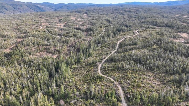 4 Cape Sutil Holberg (Off) Hwy — photo 1